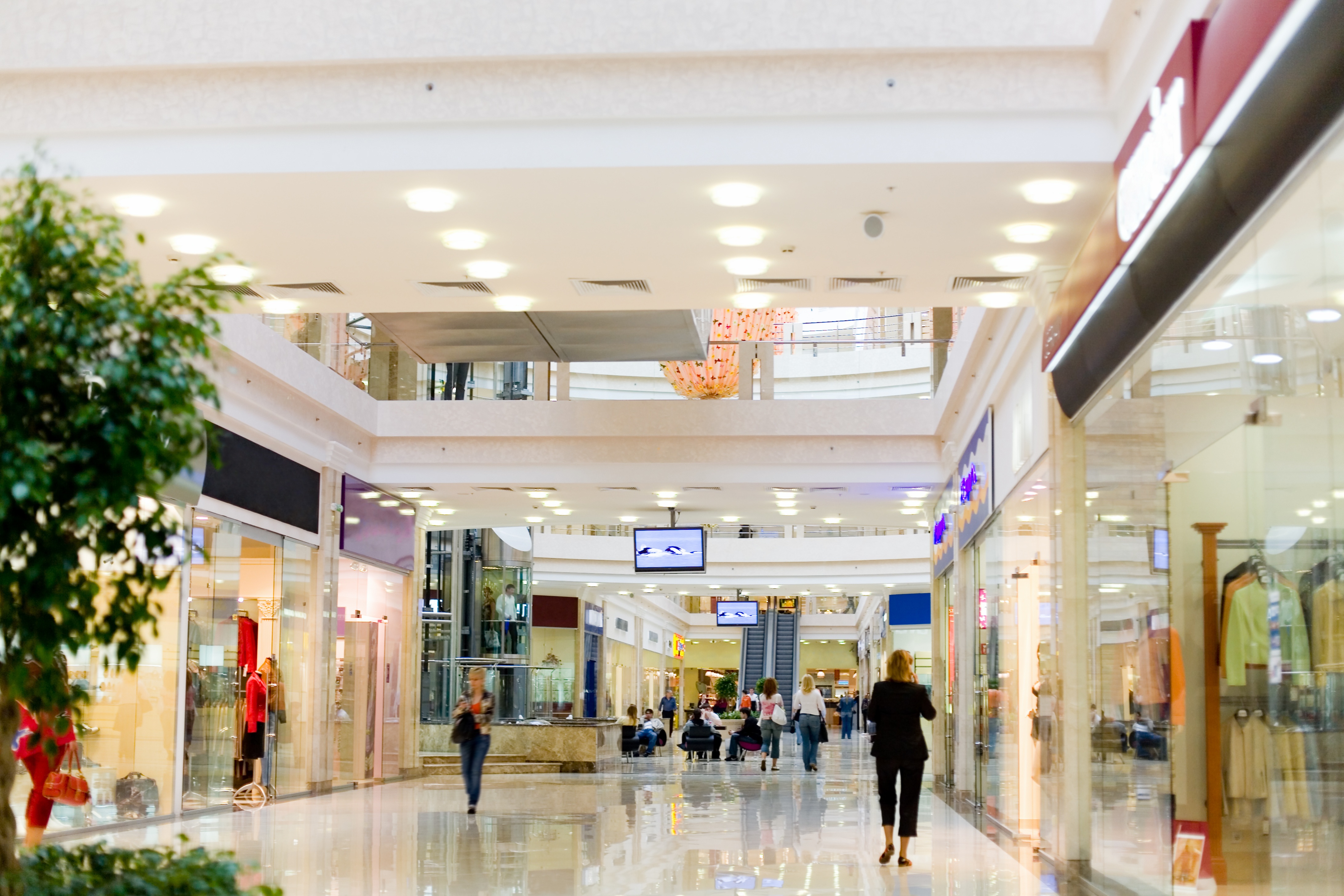 How to Run a Successful Mall Kiosk in an World